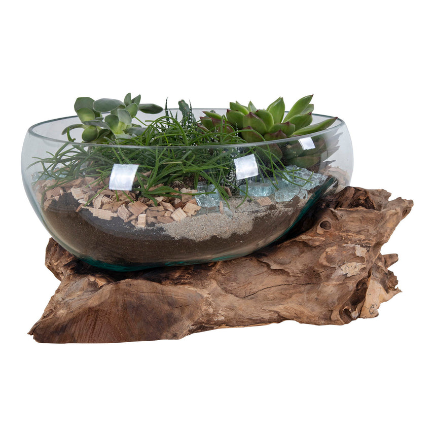 San Maríno IV. Kvapka vody