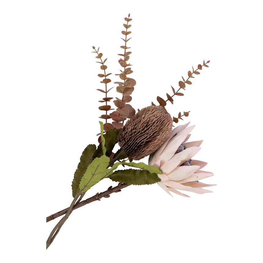 kytica kráľovského protea II.