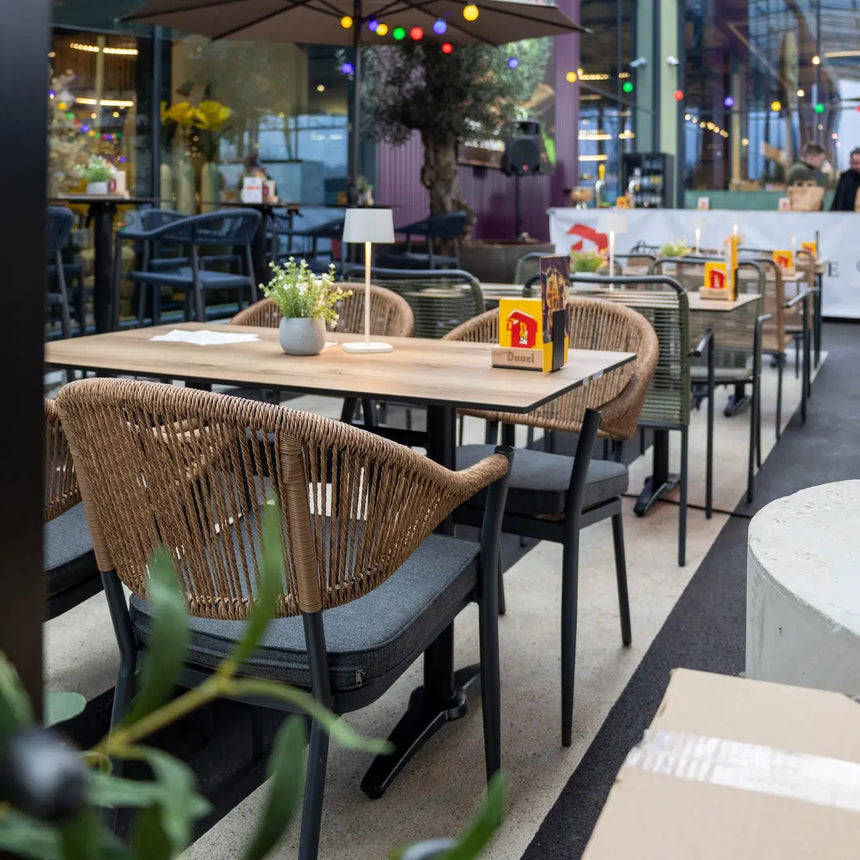 Záhradná stolička Lion, prírodná farba