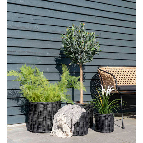 Cort I. kockovaný vzor