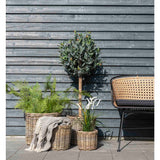 Cort I. kockovaný vzor