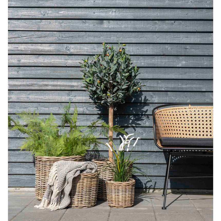 Cort I. kockovaný vzor