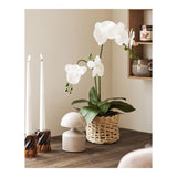 Stolová lampa Aulla