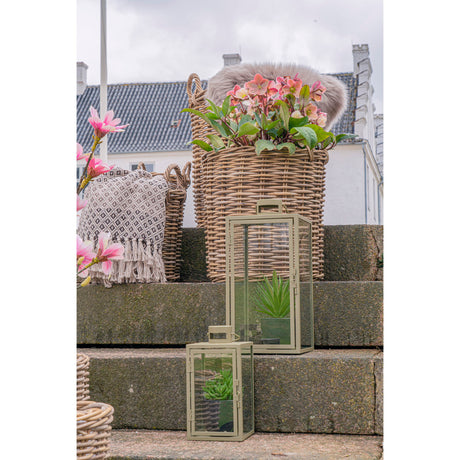 Korfské lampióny