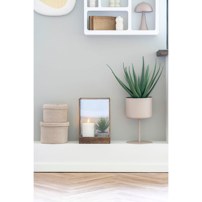 Stojan na rastliny Trofa