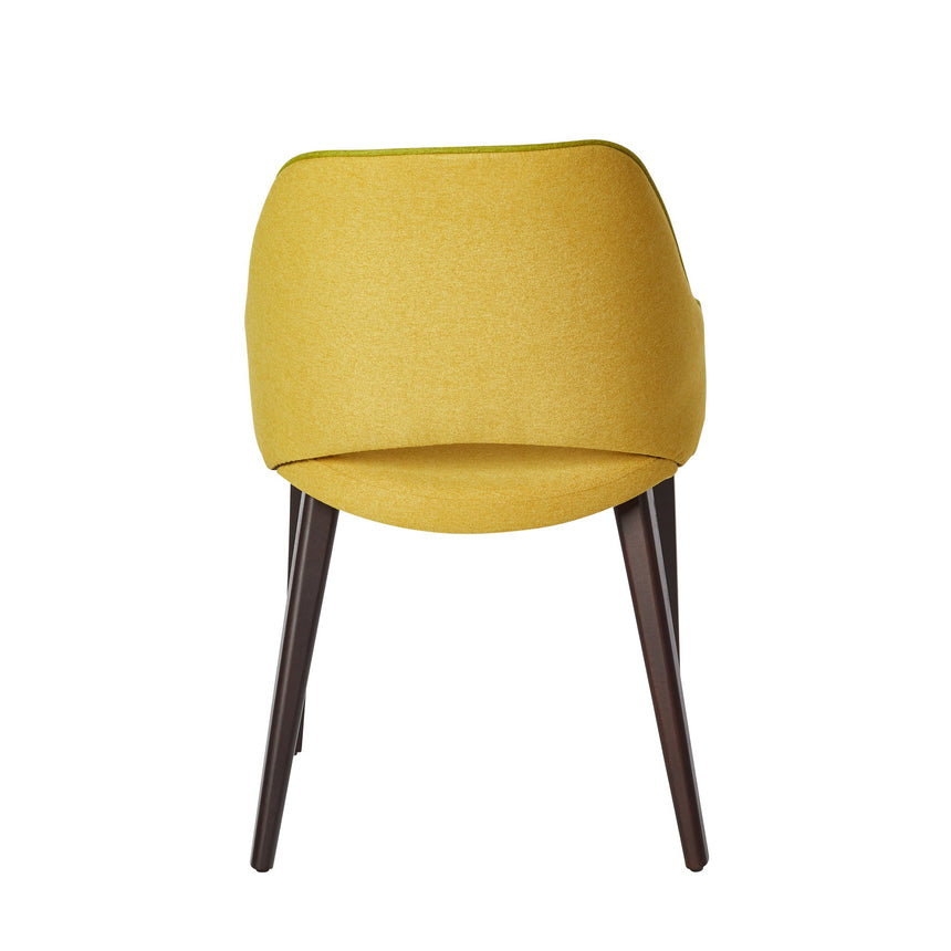 Jedálenská stolička Shark - voliteľné čalúnenie/morenie