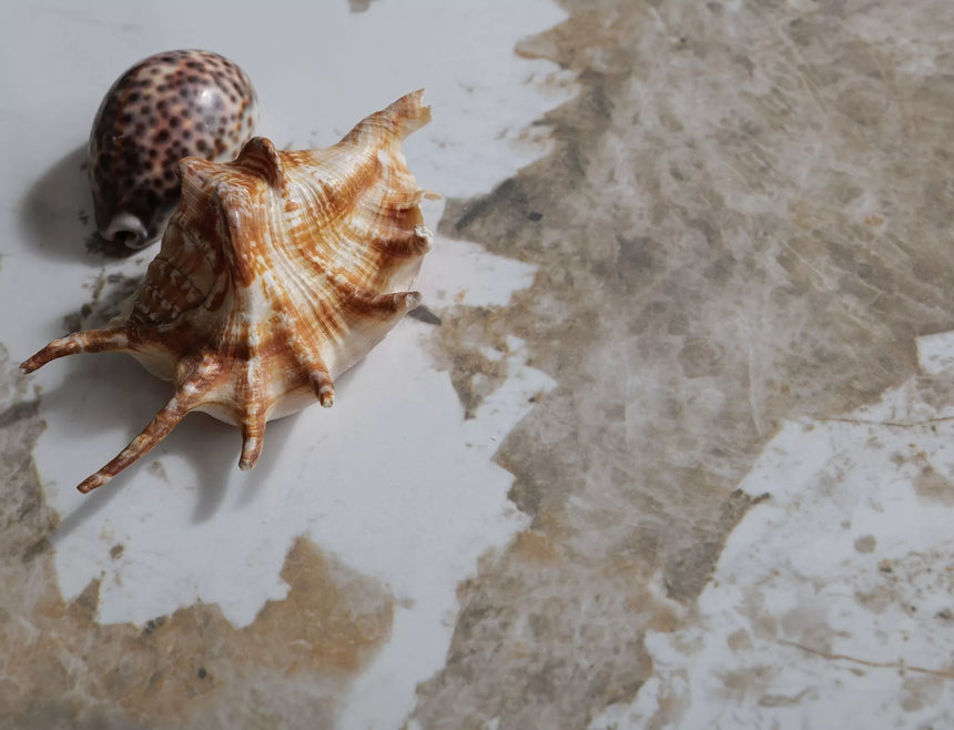 Konferenčný stolík Salo B