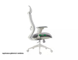 Kancelárska stolička Ergon II.