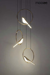 Závesná lampa Bird Disc zlatá